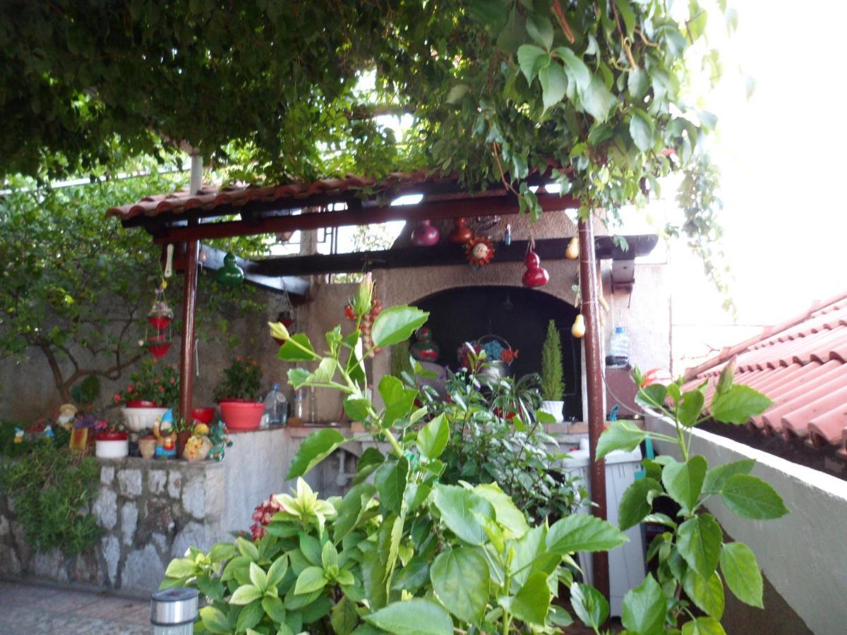 杜布罗夫尼克 伊沃娜旅馆酒店 客房 照片